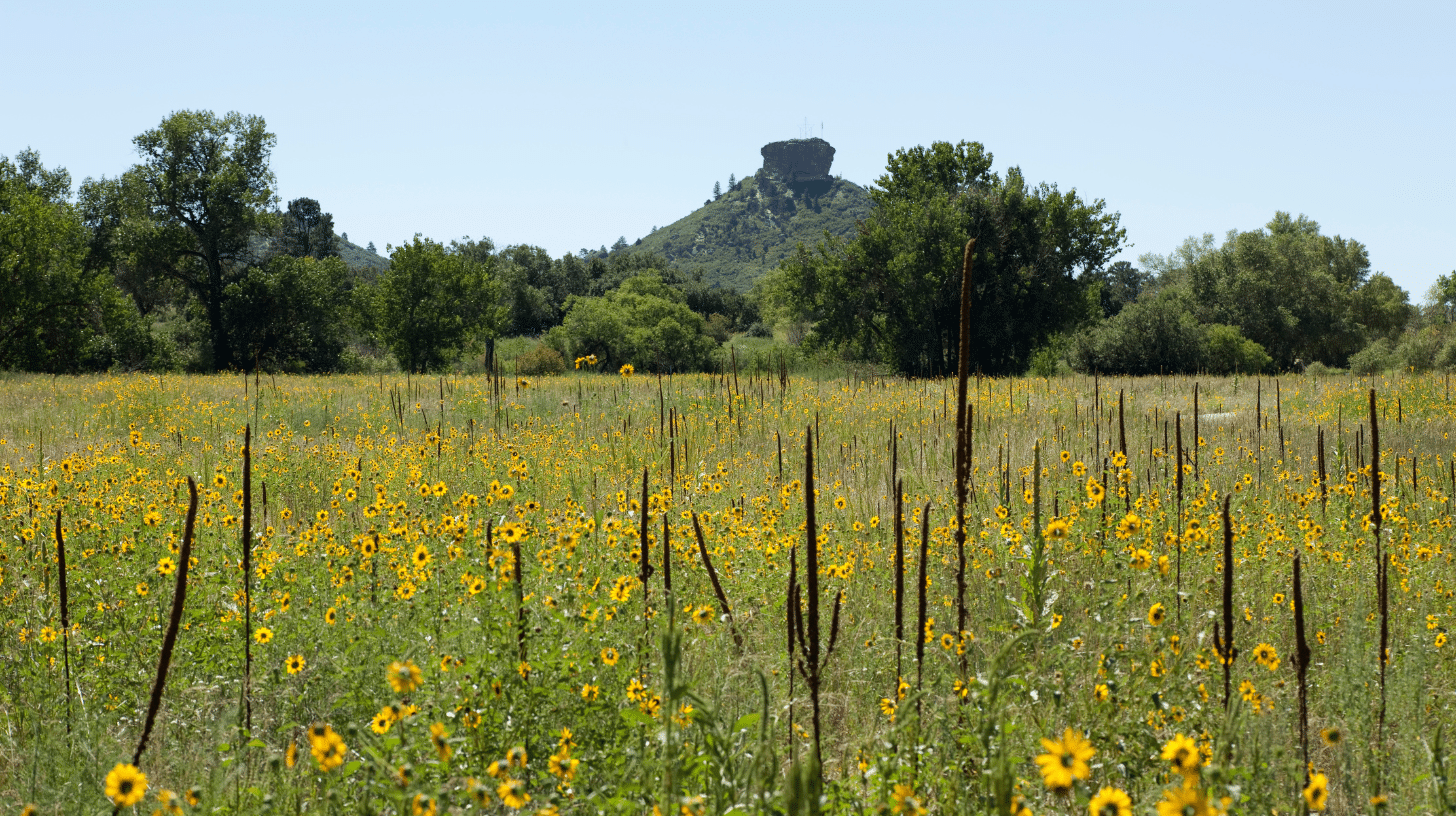 Xeriscape / Drought Tolerance in Boulder — project 2 by Blackpine Hardscapes